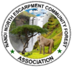 CFA Logo
